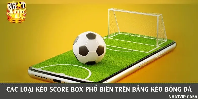 Top loại kèo chấp score box hấp dẫn phải trải nghiệm