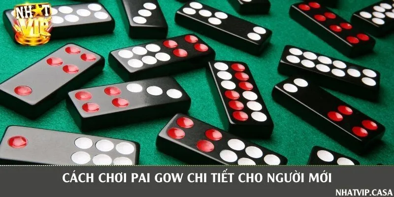 Hướng dẫn cách chơi và đặt cược Pai Gow chuẩn xác