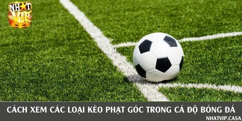 Các loại kèo phạt góc phổ biến và cách đặt cược đơn giản