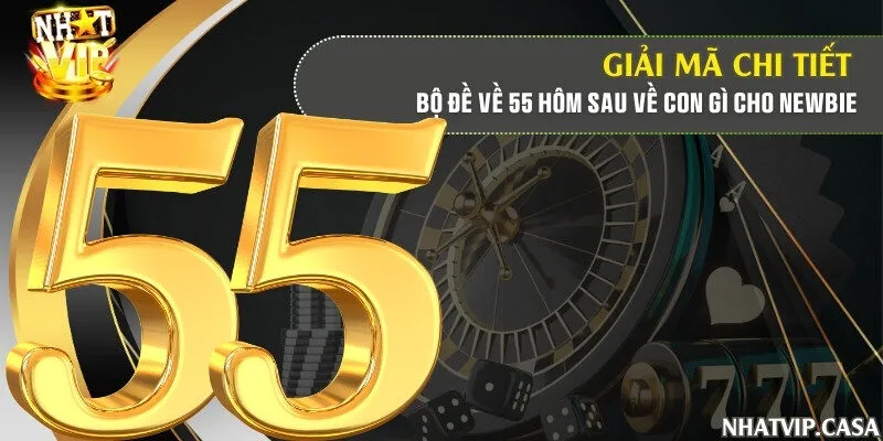 Giải mã chi tiết bộ đề về 55 hôm sau về con gì cho newbie